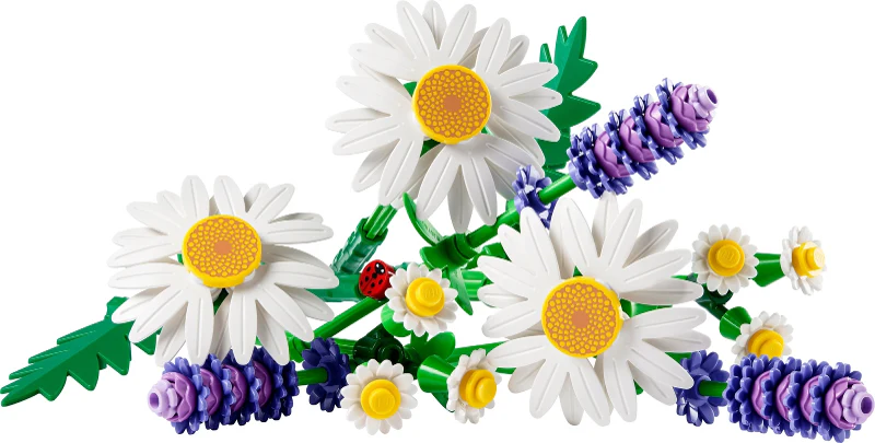 11508 Daisies - New LEGO Botanicals Set - Image 2