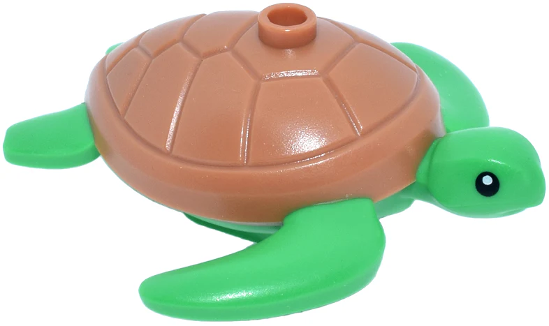 Sea Turtle