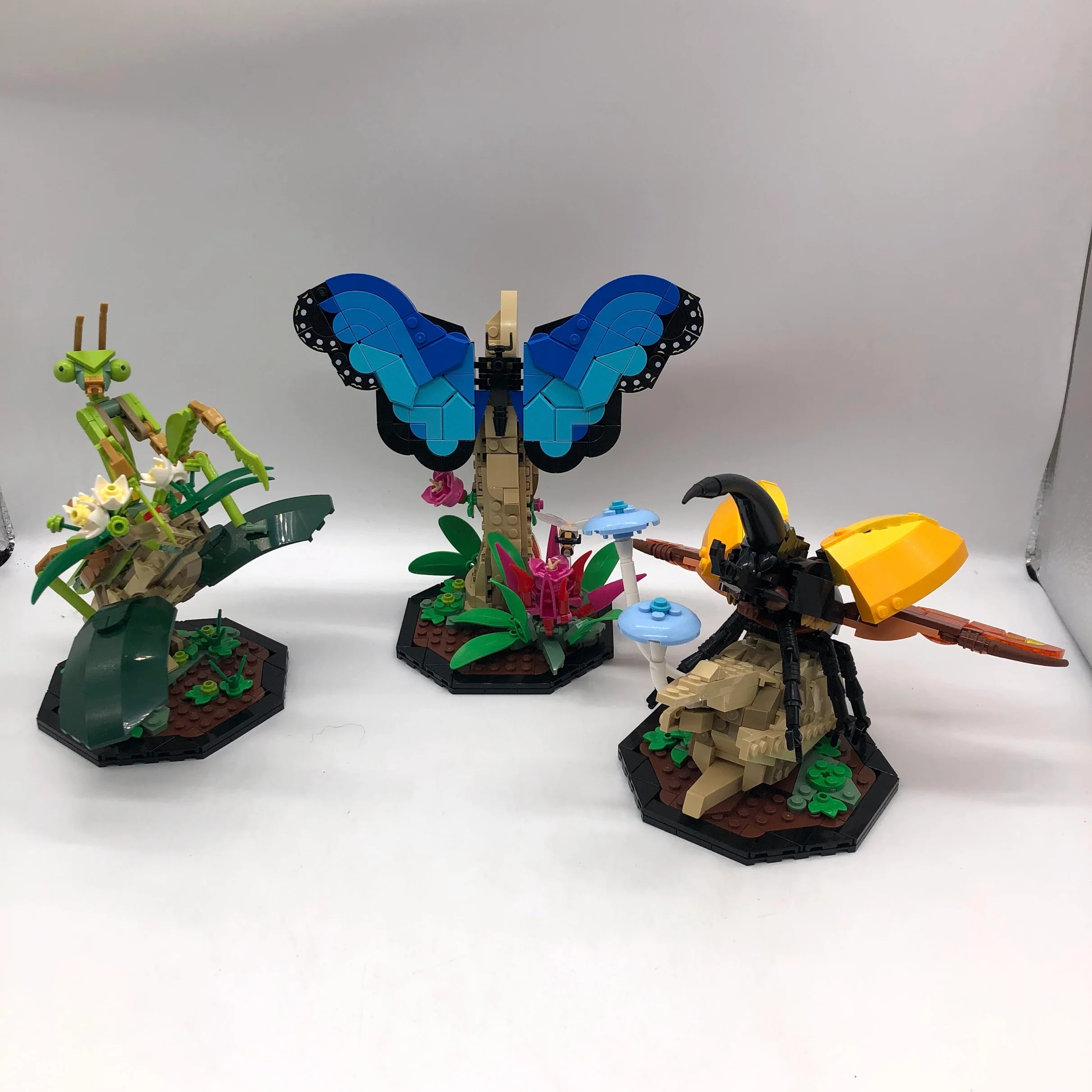 The Insect Collection 21342 - Used LEGO Ideas Set